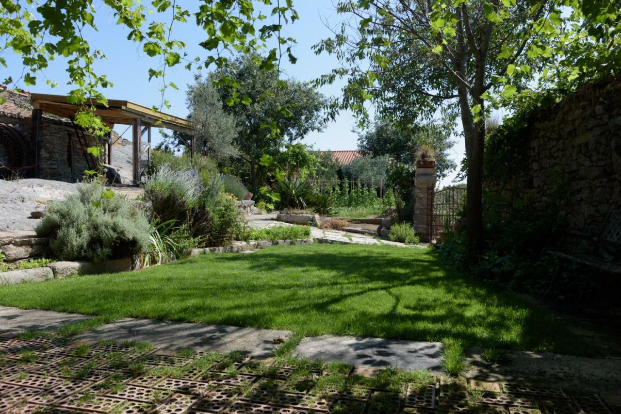 Casa Rural Caenia Grupos Traguntia Ngoại thất bức ảnh